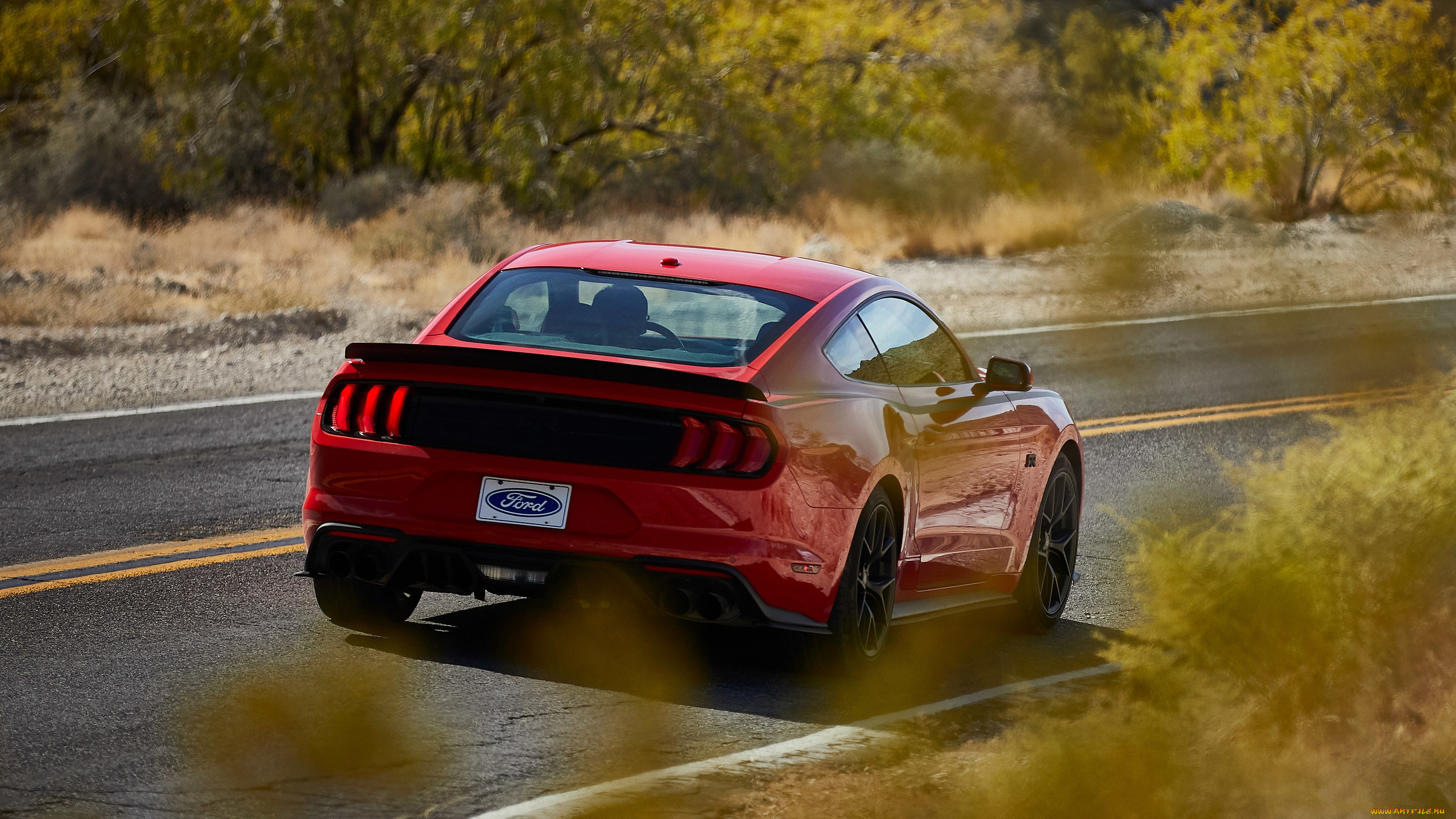 2019 ford mustang series 1 rtr, , mustang, coupe, rtr, series, 1, ford, 2019, 
